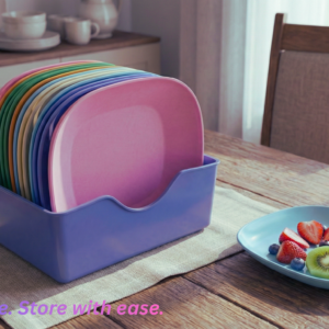 10 Pieces Plate Set with Holder